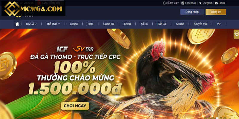 Một số sảnh cược làm nên tên tuổi của MCW