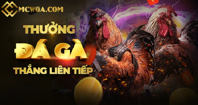 Đá gà